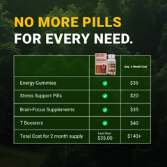 Liposomal KSM-66® Ashwagandha Tablets